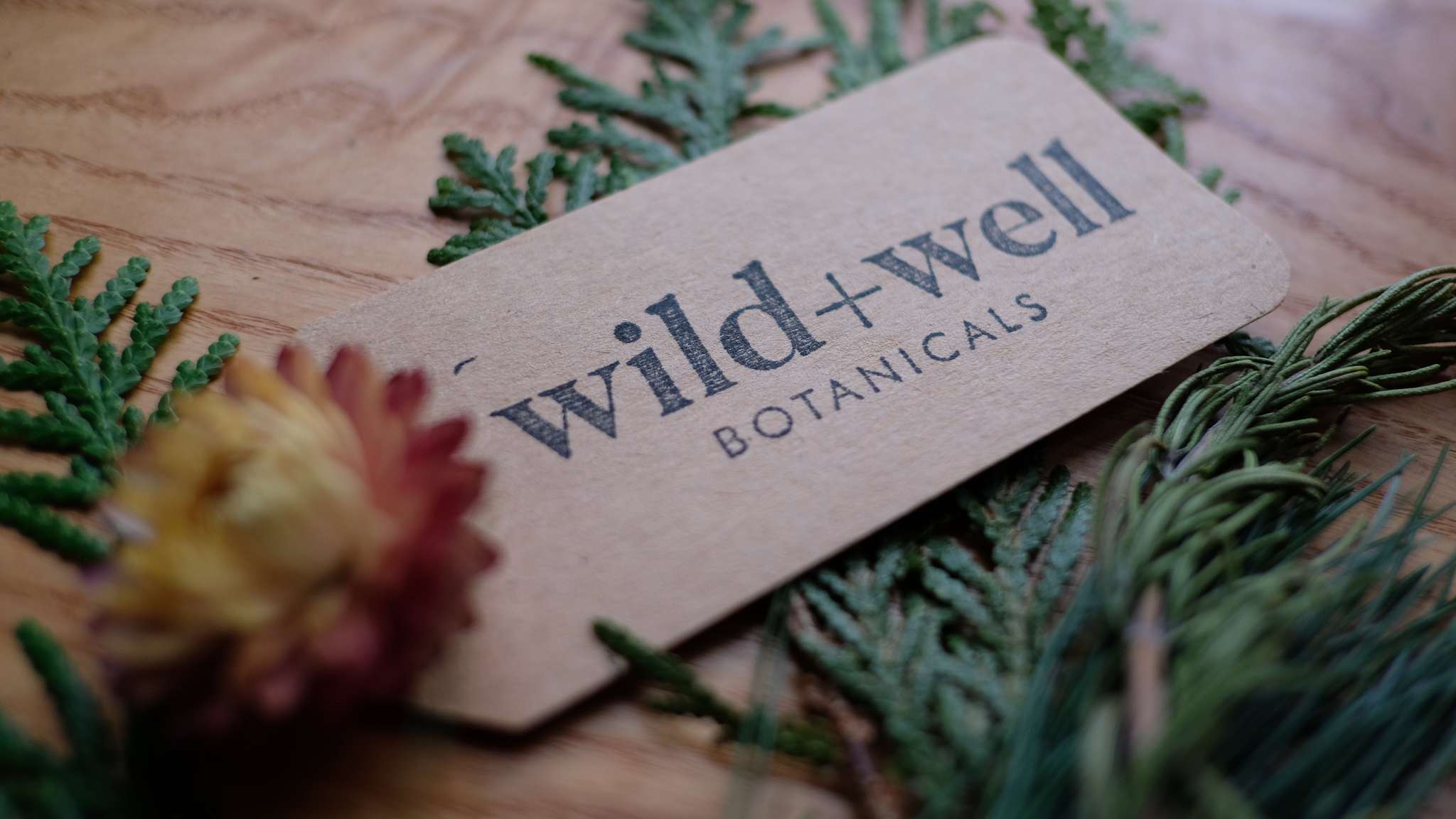Macro view of a kraft paper tag stamped with the Wild & Well mark, beside a strawflower and a cedar sprig